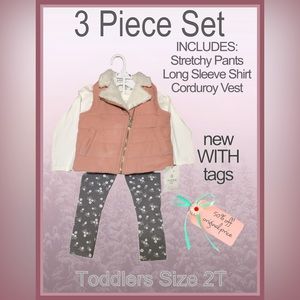 NWT 3 PIECE ASPEN KIDS OUTFIT VEST, LONG SLEEVE SHIRT & LEGGINGS size 2T